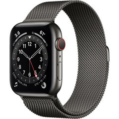 Смарт-часы Apple Watch Series 6 GPS + Cellular 44mm Graphite Stainless Steel Case w. Graphite Milanese L. (M07R3)