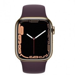 Apple Watch Series 7 GPS + Cellular 41mm Gold S. Steel Case w. Dark Cherry Sport Band (MKHG3/MKHY3)