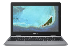 Хромбук ASUS Chromebook C223NA (C223NA-GJ0055)